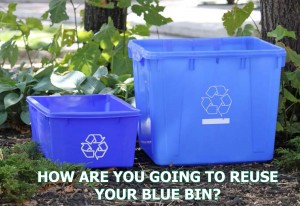 Blue Bin Facebook Photo Contest